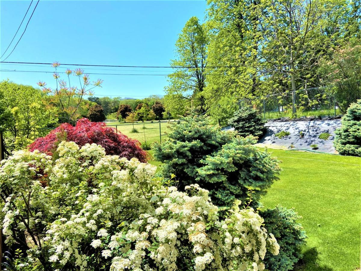 Iresidence In Toronto - Unique Mansion - Fantastic Views מראה חיצוני תמונה